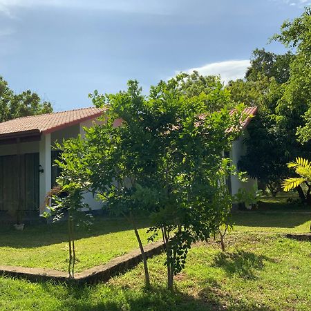 פולונרואה Nature Resort מראה חיצוני תמונה