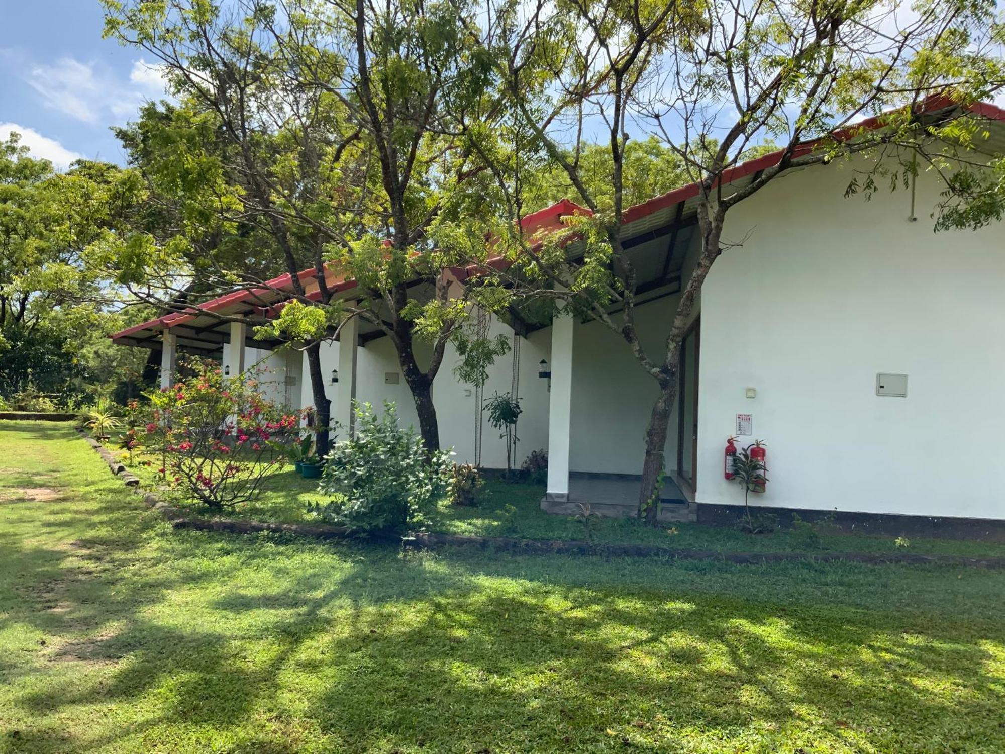 פולונרואה Nature Resort מראה חיצוני תמונה