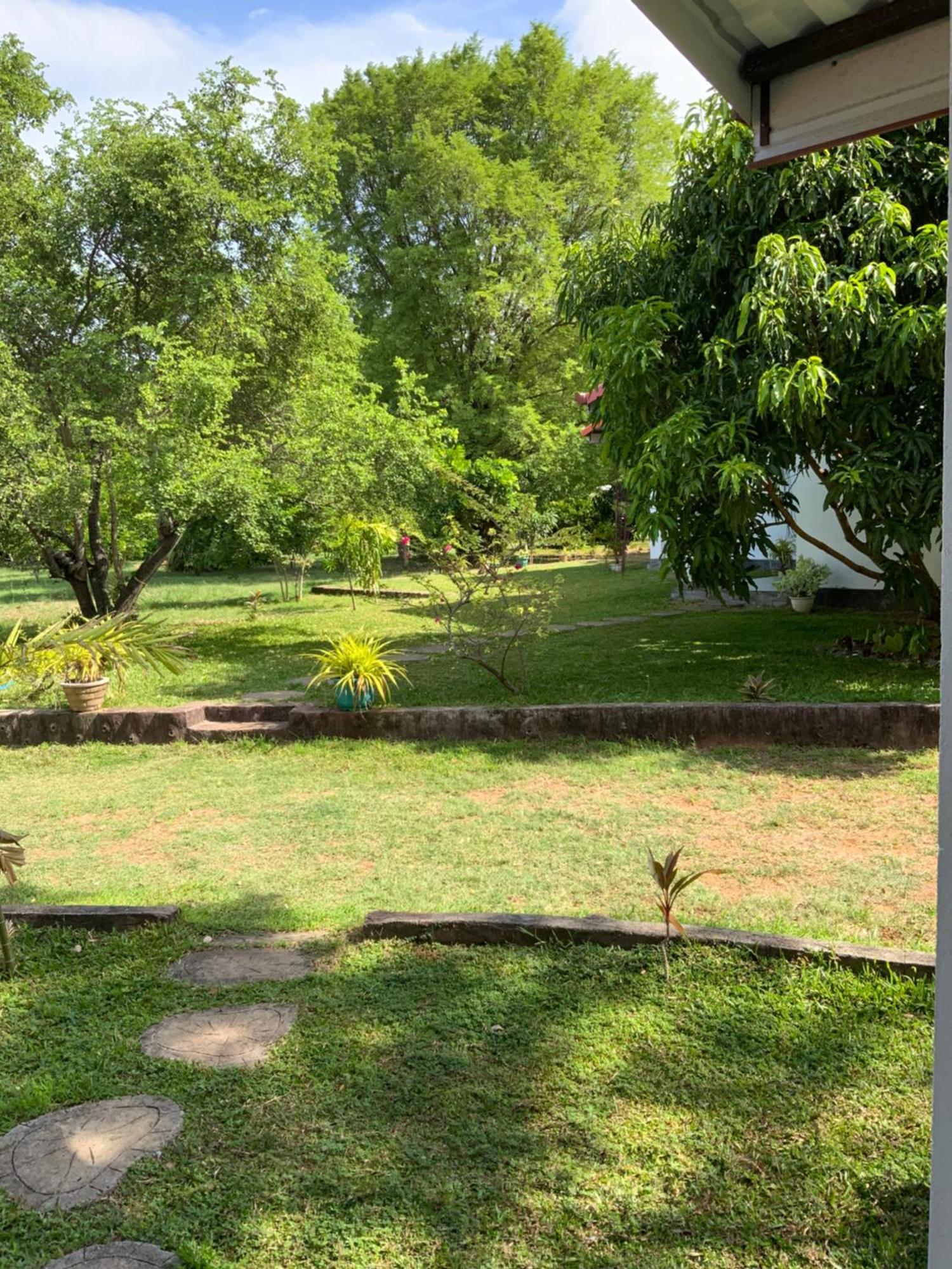 פולונרואה Nature Resort מראה חיצוני תמונה