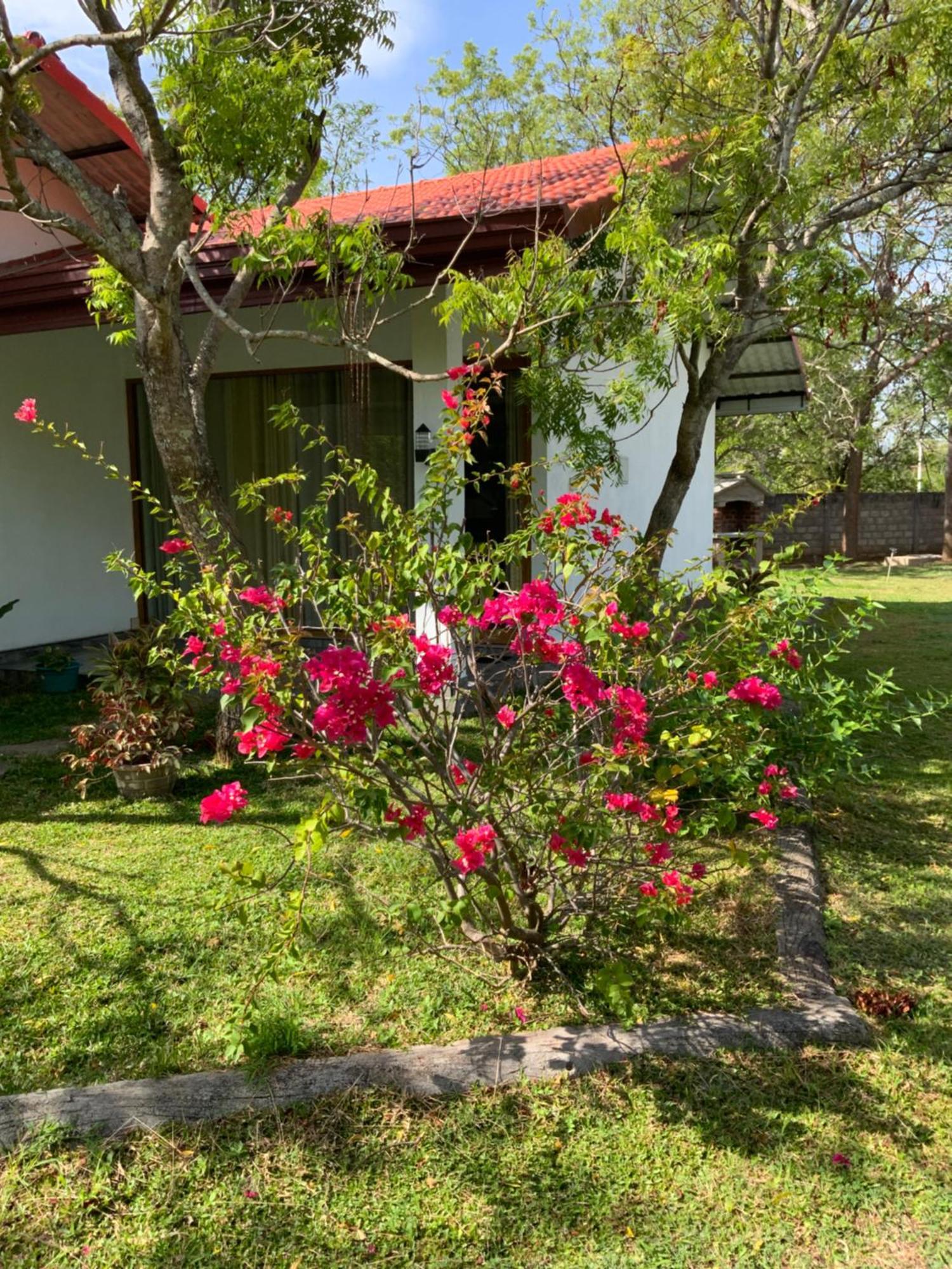 פולונרואה Nature Resort מראה חיצוני תמונה