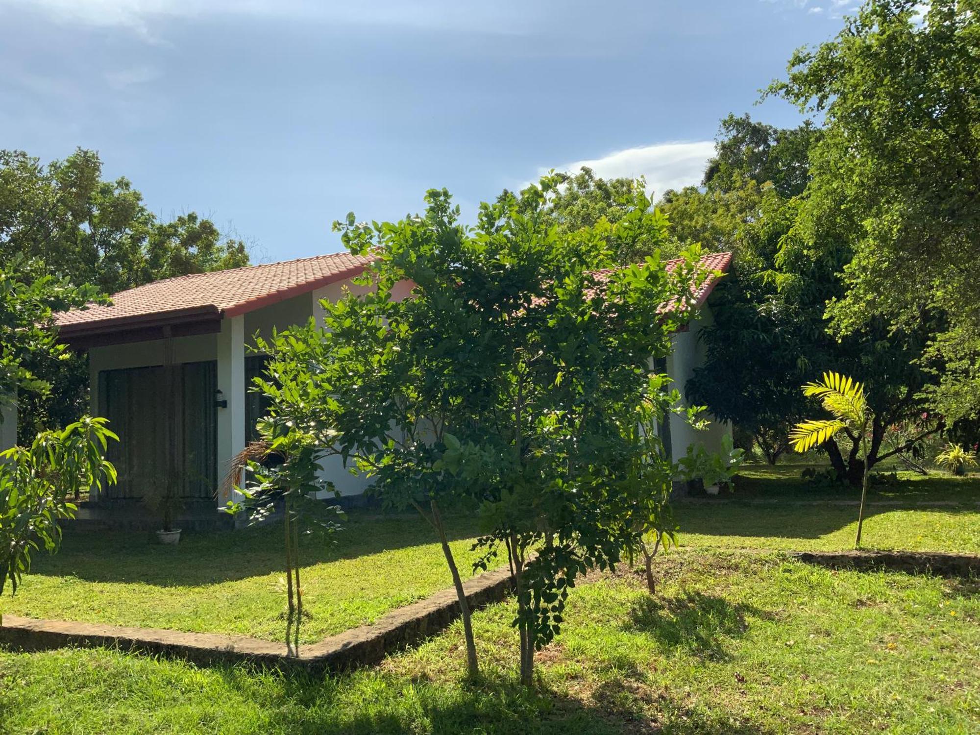 פולונרואה Nature Resort מראה חיצוני תמונה